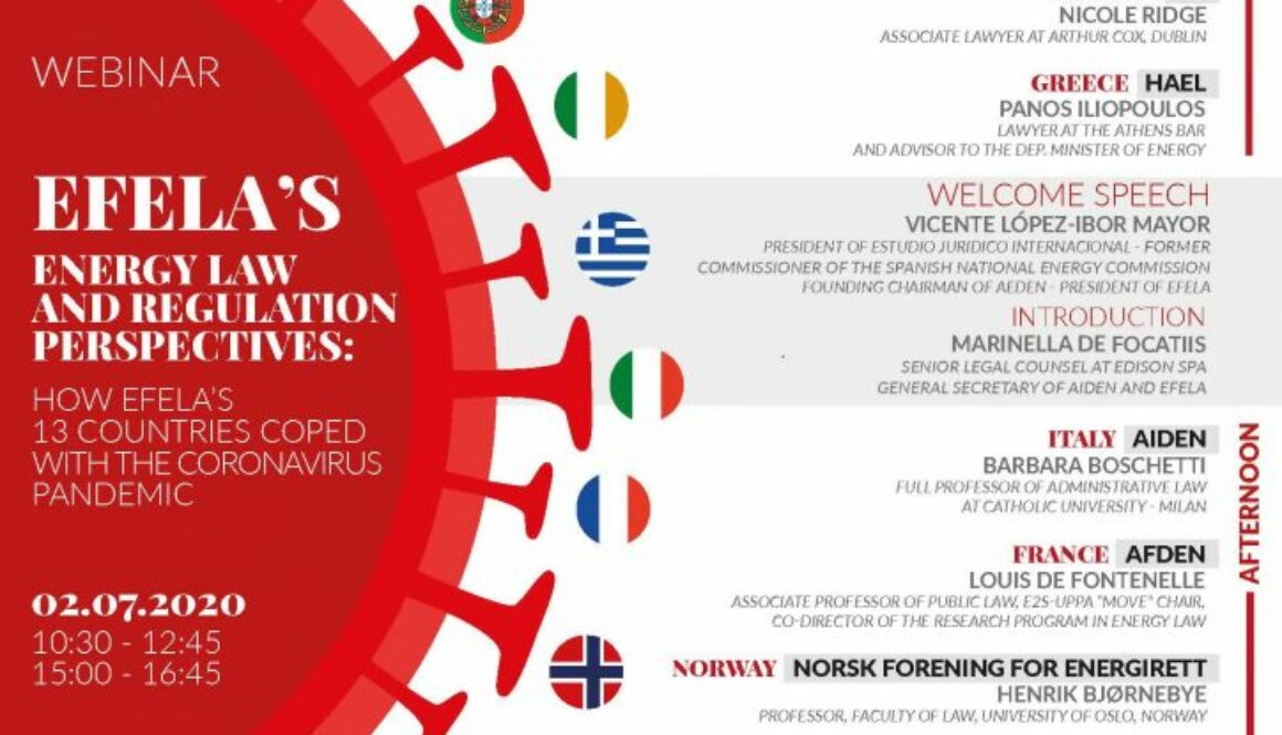 FV flyer webinar_rev14